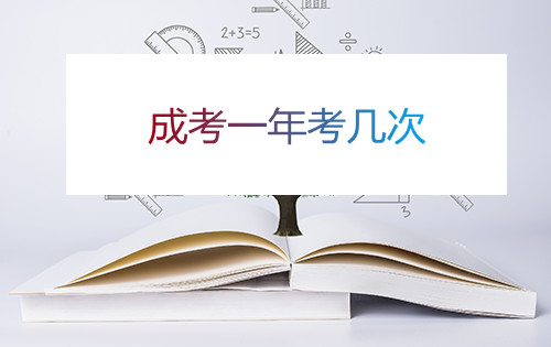 安徽成考一年考几次