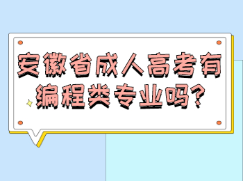 安徽省成人高考有编程类专业吗?