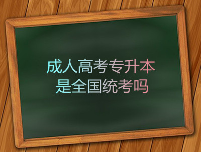 安徽成人高考专升本是全国统考吗