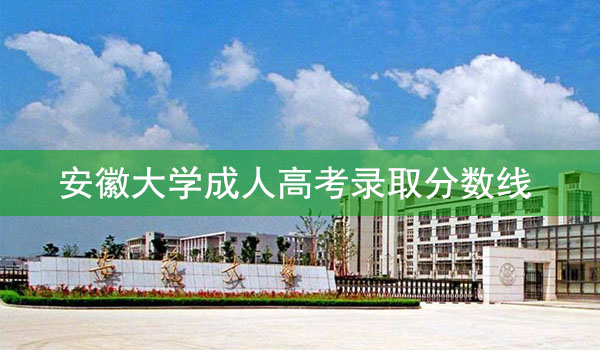 安徽大学函授站有哪些？