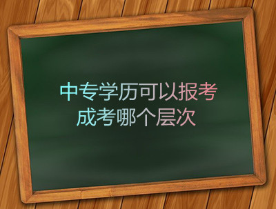 中专学历可以报考成考哪个层次呢