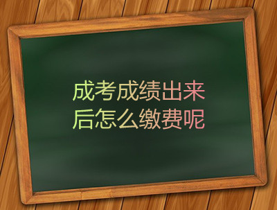 安徽成考成绩出来后怎么缴费呢
