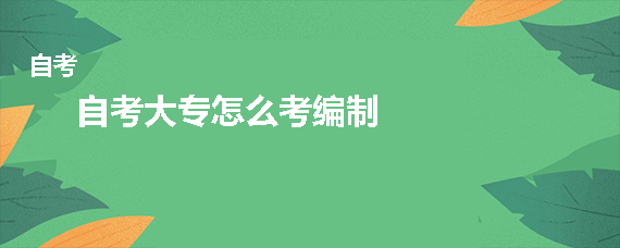 自考大专怎么考编制