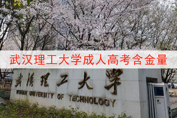 武汉理工大学成人高考含金量高吗