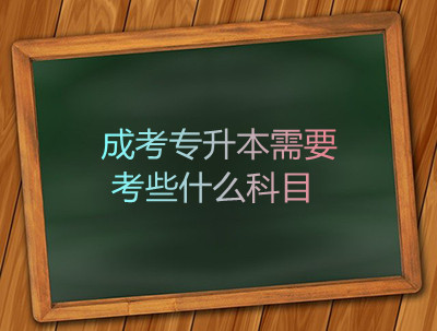 安徽成考专升本需要考些什么科目