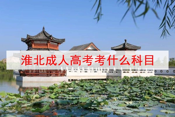 淮北成人高考考什么科目?考试难吗