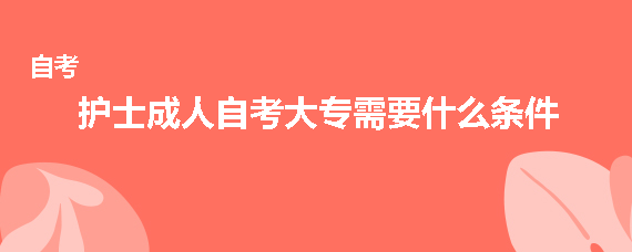 护士成人自考大专需要什么条件