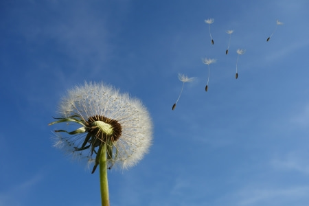 离开学校还可以自考吗