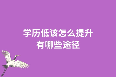 学历低该怎么提升？有哪些途径？