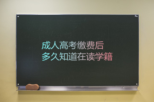 安徽成人高考缴费后多久知道在读学籍
