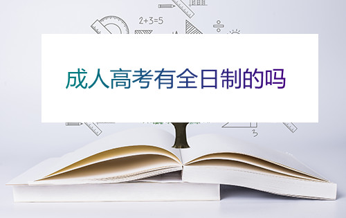 安徽成人高考有全日制的吗