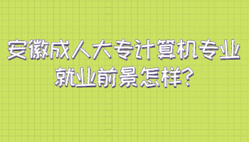 安徽成考大专计算机专业就业前景怎样?